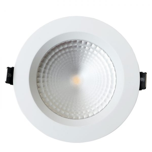 Downlight Frost